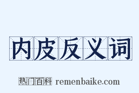 内皮反义词是什么意思的图片